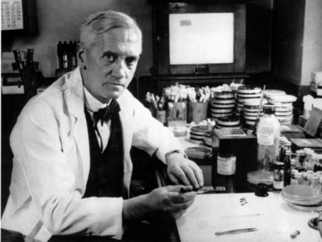 Открытие пенициллина  Александр Флеминг, шотландский биолог, фармаколог и ботаник, не очень то заботился о гигиене на своем рабочем месте.