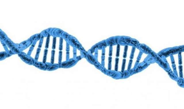 Генная инженерия  В своей знаменитой антиутопии "О дивный новый мир" Олдос Хаксли дал яркое описание генной инженерии. Уровня, описанного в книге, сегодняшняя наука пока не достигла, хотя первые генетические манипуляции начались еще в 1972 году. 