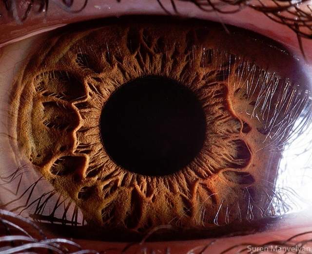 Если бы человеческий глаз был цифровой фотокамерой, то его разрешение составляло бы 576 мегапикселей. Эксперты считают, что человеческий глаз может различать 10 млн различных цветов.
