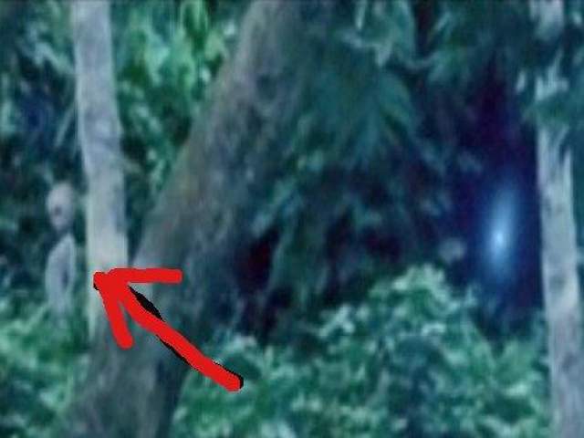 По словам уфолога, в районе Манаус, где был сделан снимок, случаи появления НЛО были зафиксированы и ранее. 