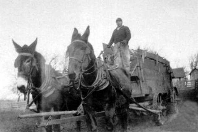 Невероятное исчезновение Дэвида Лэнга  Известный случай произошел на ферме в Теннесси в сентябре 1880 года, на глазах у нескольких свидетелей. Двое детей Лэнга, Джордж и Сара, играли во дворе. Их родители Дэвид и Эмма вышли к главному входу, после чего Дэвид направился на пастбище лошадей. 