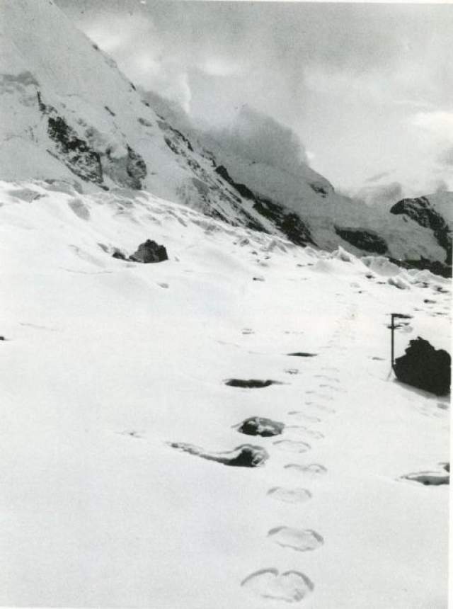 В начале 50-х годов лондонская газета "Daily Mail" решила внести свой вклад в дело поисков тщательно скрывающегося от людей большеносого существа. Для этого журналисту Ралфу Иззарду поручили организовать экспедицию в Гималайские горы. 