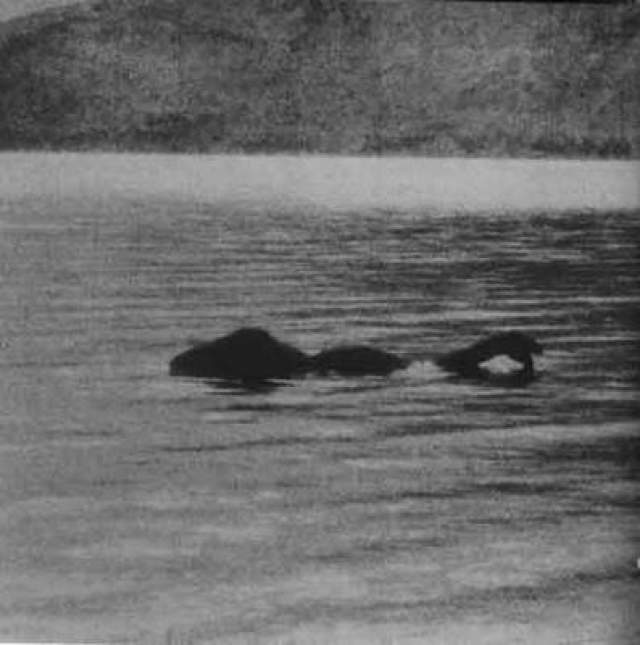 Лох-Несское чудовище  В 1934 году в английском "Дейли Мейл" появился первый в истории снимок Лох-Несского чудовища, легенды о котором бытовали уже давно. Автор снимка, лондонский хирург Уилсон, утверждал, что заснял монстра случайно, когда прогуливался в окрестностях. 