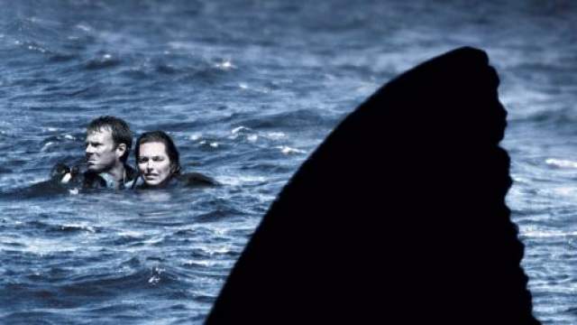 "Открытое море" Этот фильм 2003-го года основан на ужасной истории. Что будет, если нырнуть с аквалангом посреди моря, а лодка, с которой вы ныряли, уйдет без вас? Но именно это случилось с семейной парой из Батон-Руж6 штат Луизиана. 
